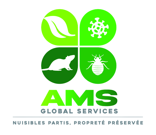 AMS Global Services